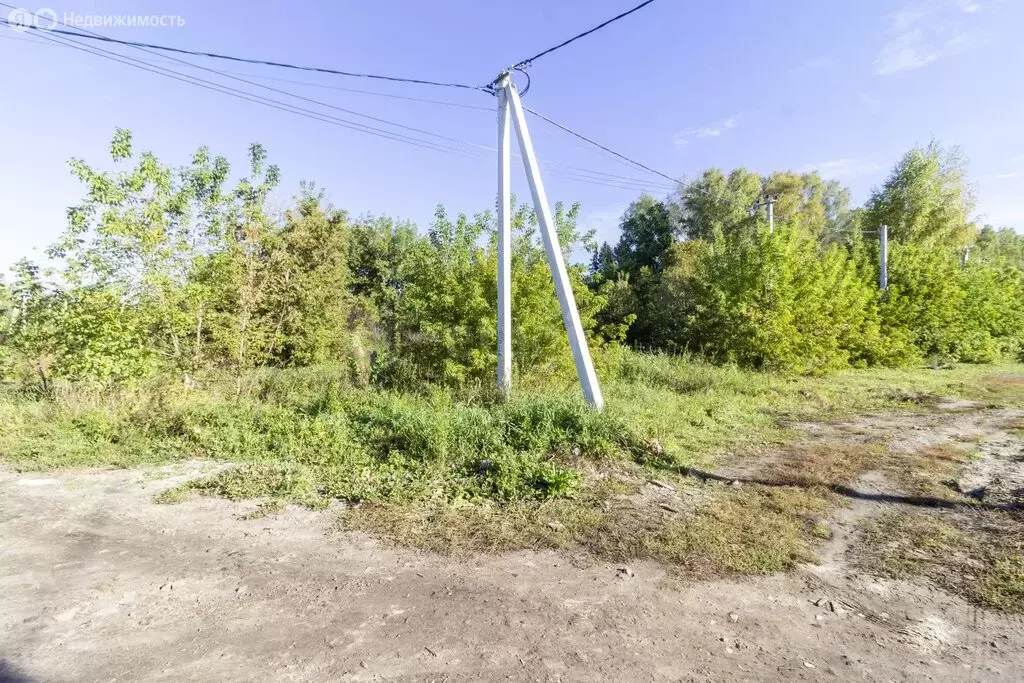 Участок в Тюмень, СНТ Надежда-3, Полевая улица (7 м) - Фото 2