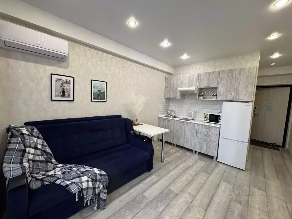 Студия Краснодарский край, Сочи городской округ, Дагомыс пгт ул. ... - Фото 2