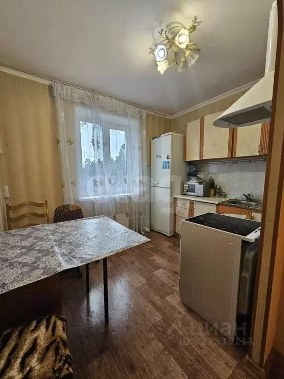 1-к кв. Ямало-Ненецкий АО, Муравленко ул. Муравленко, 50 (34.5 м) - Фото 1