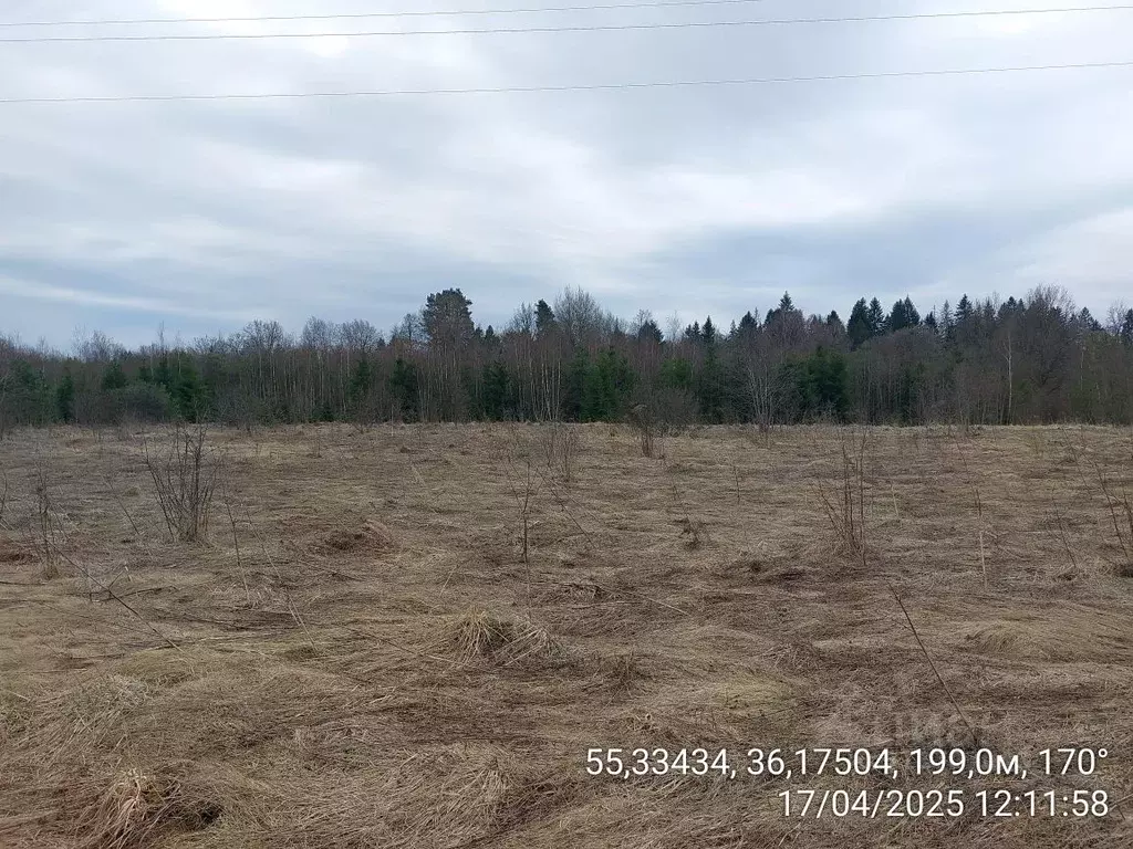 Участок в Московская область, Верея Наро-Фоминский городской округ,  ... - Фото 0