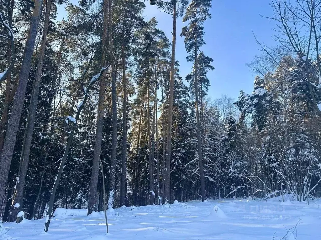 Участок в Москва д. Городище, уч2-1 (6.3 сот.) - Фото 1