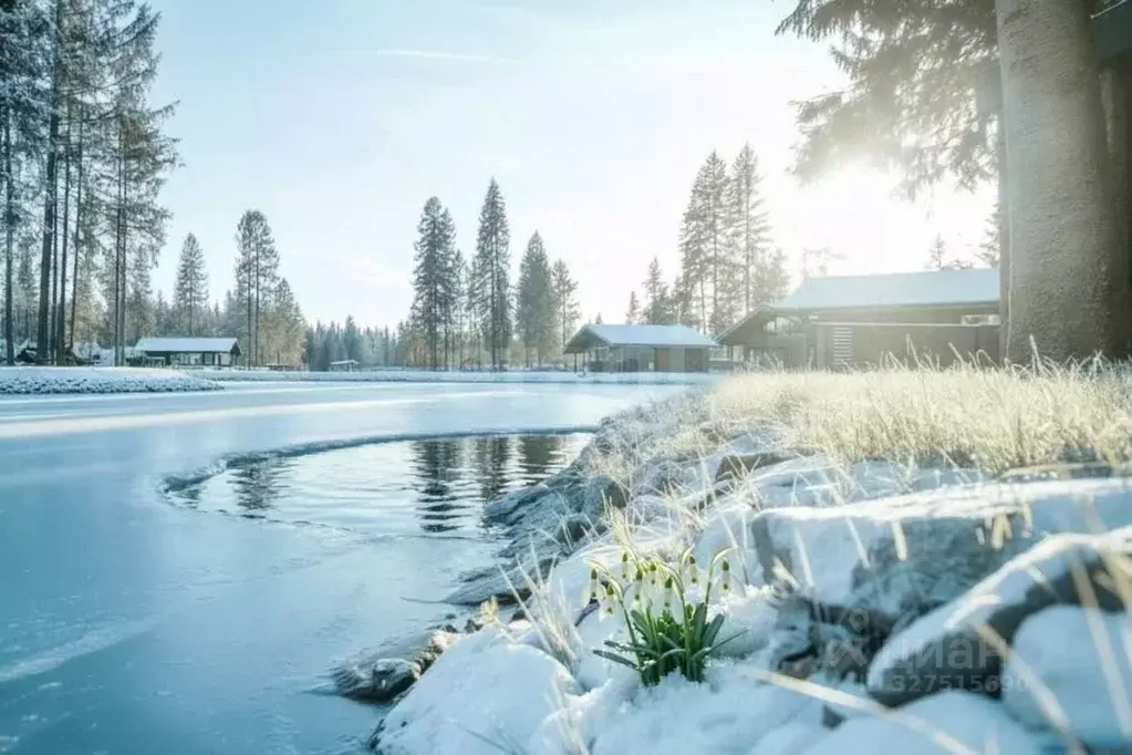 Участок в Московская область, Клин городской округ, Ели Эстейт ... - Фото 1