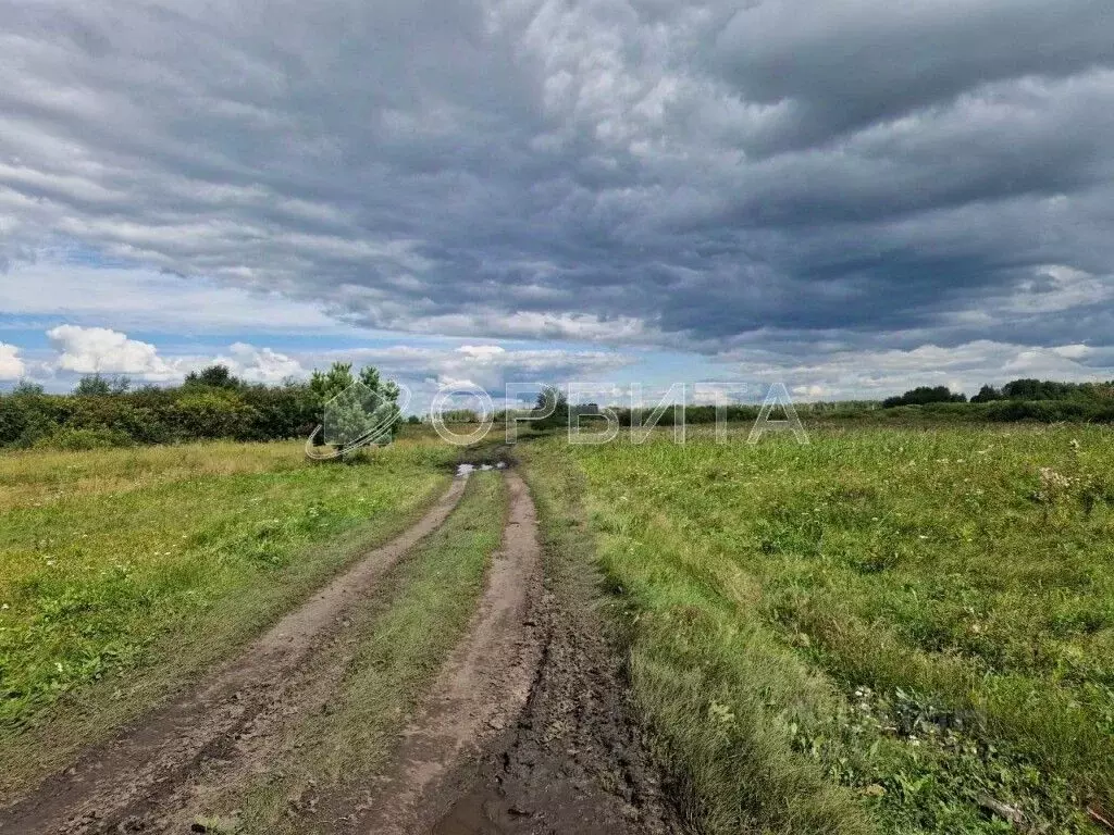 Участок в Тюменская область, Тюменский район, с. Луговое Плодовая ул. ... - Фото 0