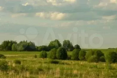 Участок 8 сот. (СНТ, ДНП) - Фото 0
