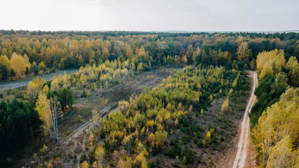 Участок в Татарстан, Лаишевский район, Орловское с/пос, д. Орел ул. ... - Фото 1
