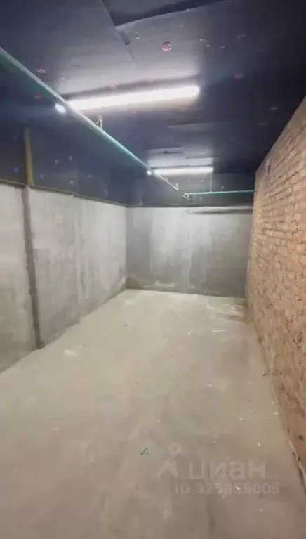 Склад в Новосибирская область, Новосибирск ул. Ясный Берег, 12 (16 м) - Фото 1