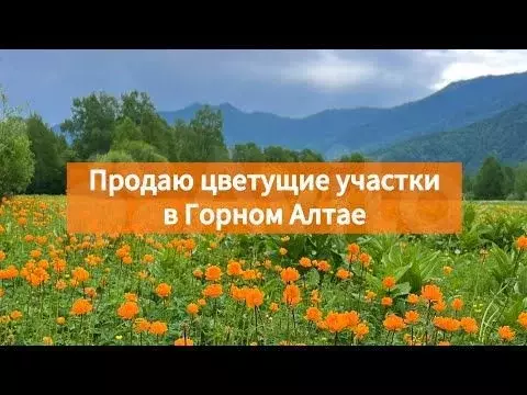 Участок 90 сот. (ИЖС) - Фото 1