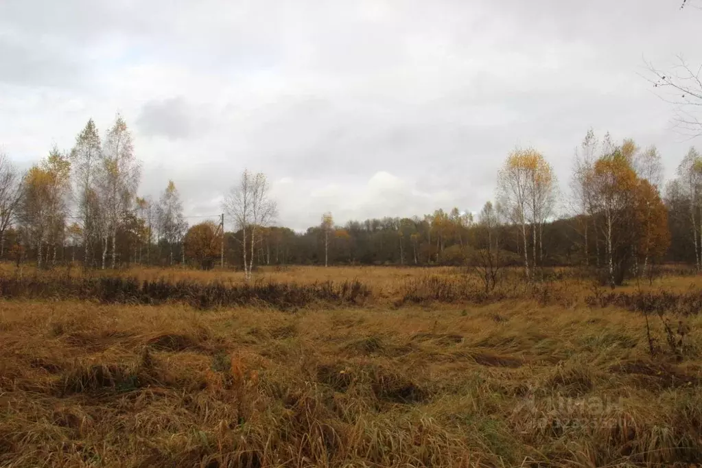 Участок в Московская область, Шаховская муниципальный округ, д. ... - Фото 1