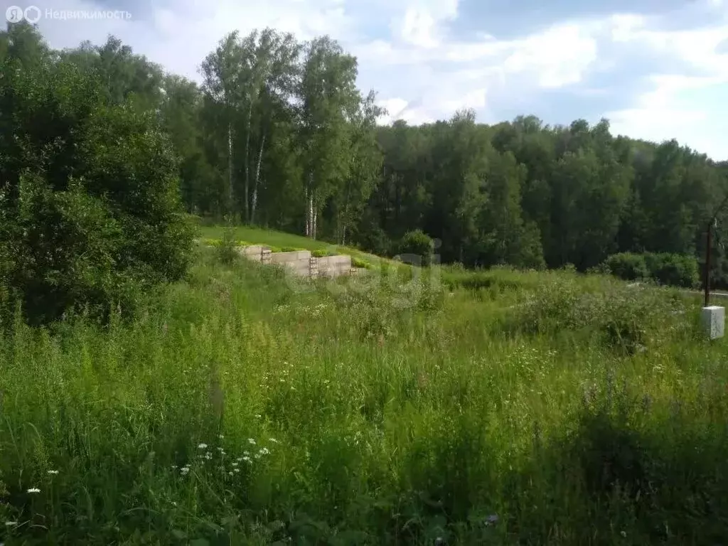 Участок в Барышевский сельсовет, садовое некоммерческое товарищество ... - Фото 2