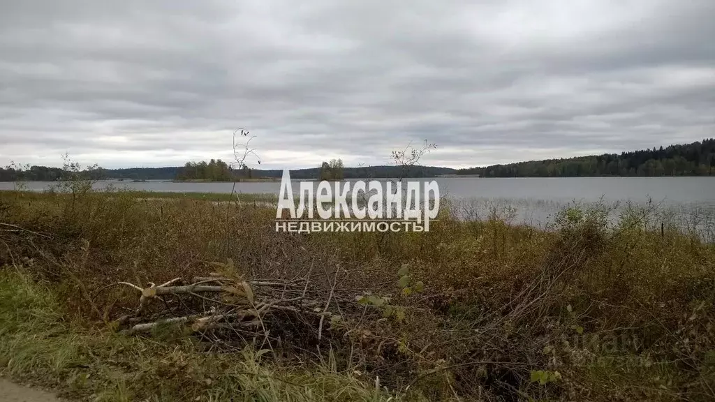 Участок в Карелия, Сортавальский муниципальный округ, пос. Лавиярви  ... - Фото 0
