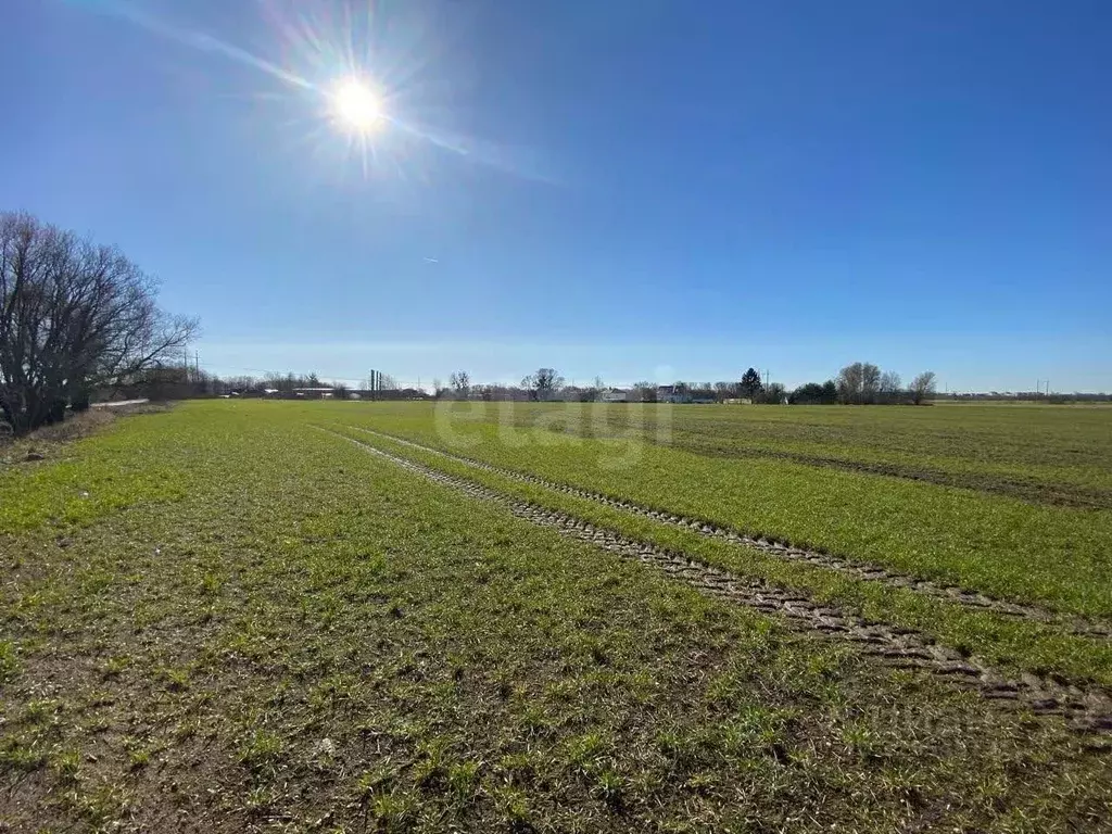 Участок в Калининградская область, Гурьевский муниципальный округ, ... - Фото 1