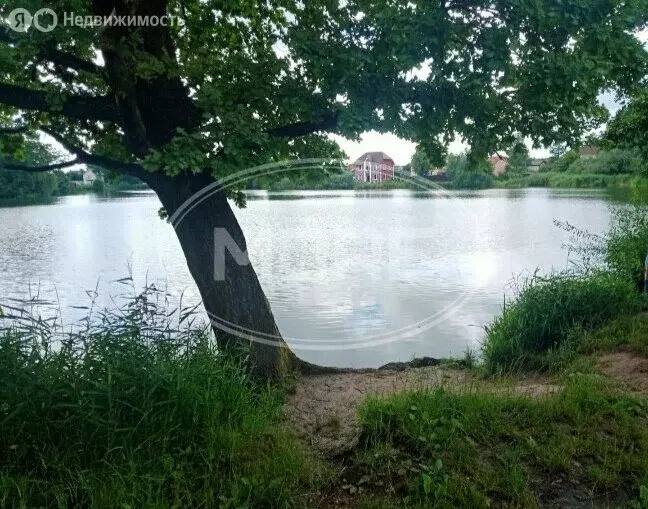 Участок в Калининград, СНТ Дружба-3, Вишнёвая улица, 17 (8 м) - Фото 0