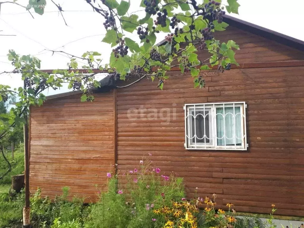 Дом в посёлок Красный Текстильщик, СНТ Источник (45 м) - Фото 2