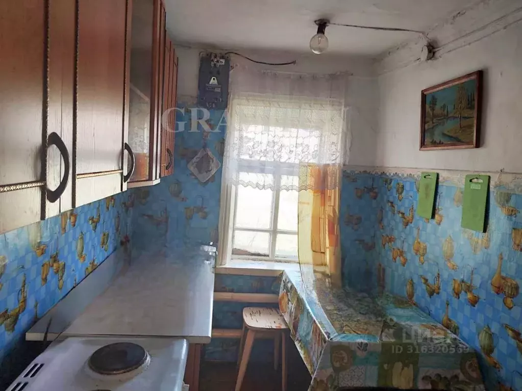 Дом в Алтай, Майминский район, с. Кызыл-Озек Советская ул. (36 м) - Фото 1