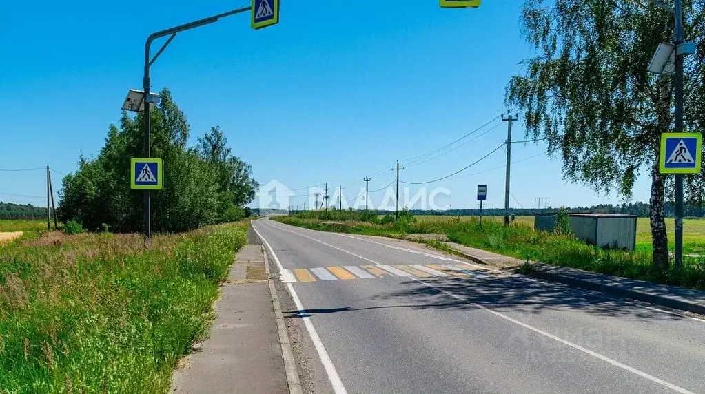 Участок в Московская область, Богородский городской округ, с. Ямкино ... - Фото 0