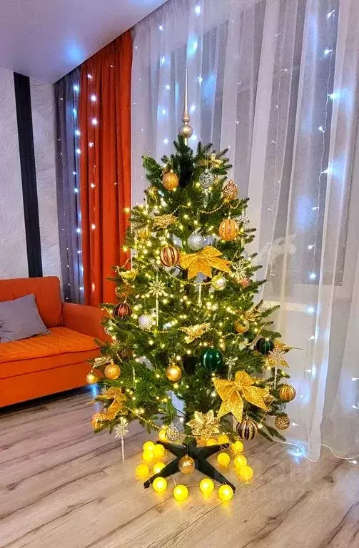 Студия Карелия, Сортавальский муниципальный округ, пос. Кааламо ул. ... - Фото 2