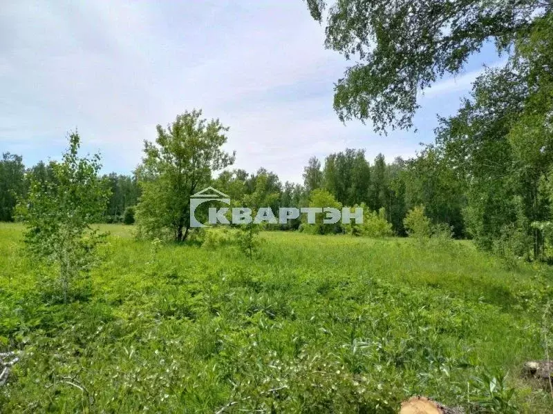Участок в Новосибирская область, Новосибирск Пашино мкр, ул. ... - Фото 2