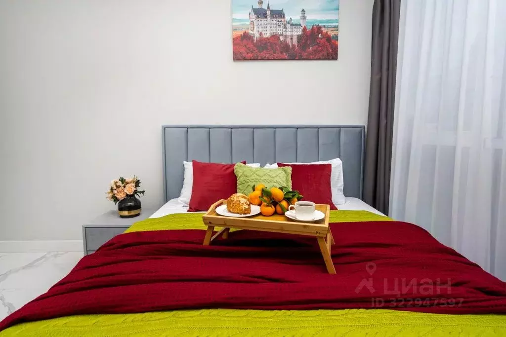 1-к кв. Краснодарский край, Сочи Центральный мкр, ул. Навагинская, 11Б ... - Фото 2