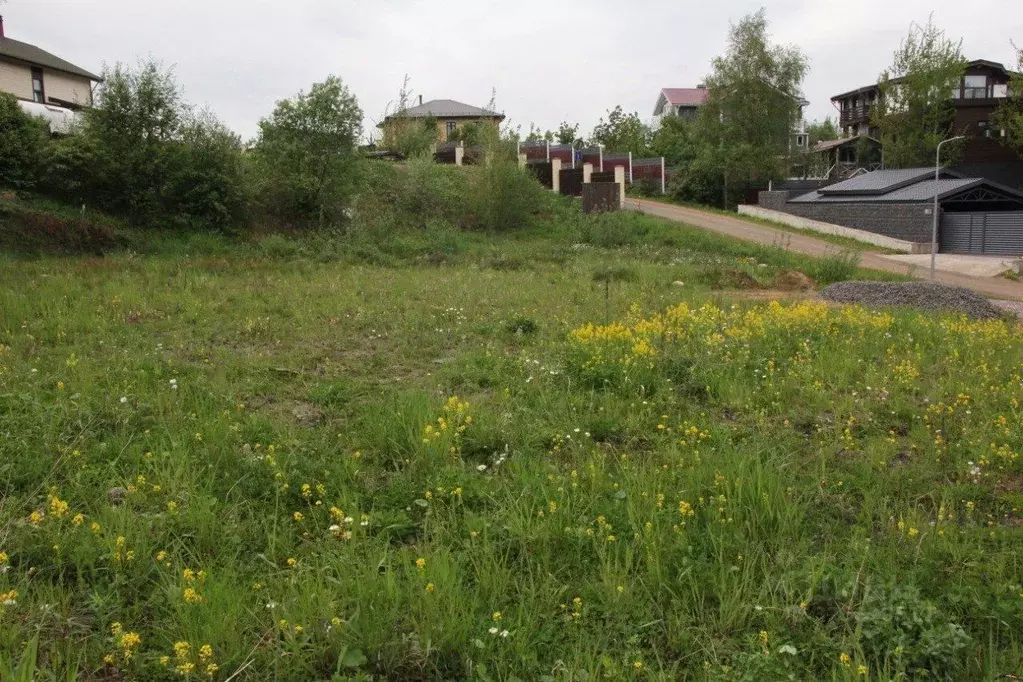Участок в Ленинградская область, Всеволожский район, Лесколовское ... - Фото 1