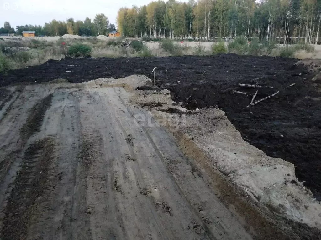 Участок в Республика Карелия, посёлок городского типа Пряжа (7.3 м) - Фото 1