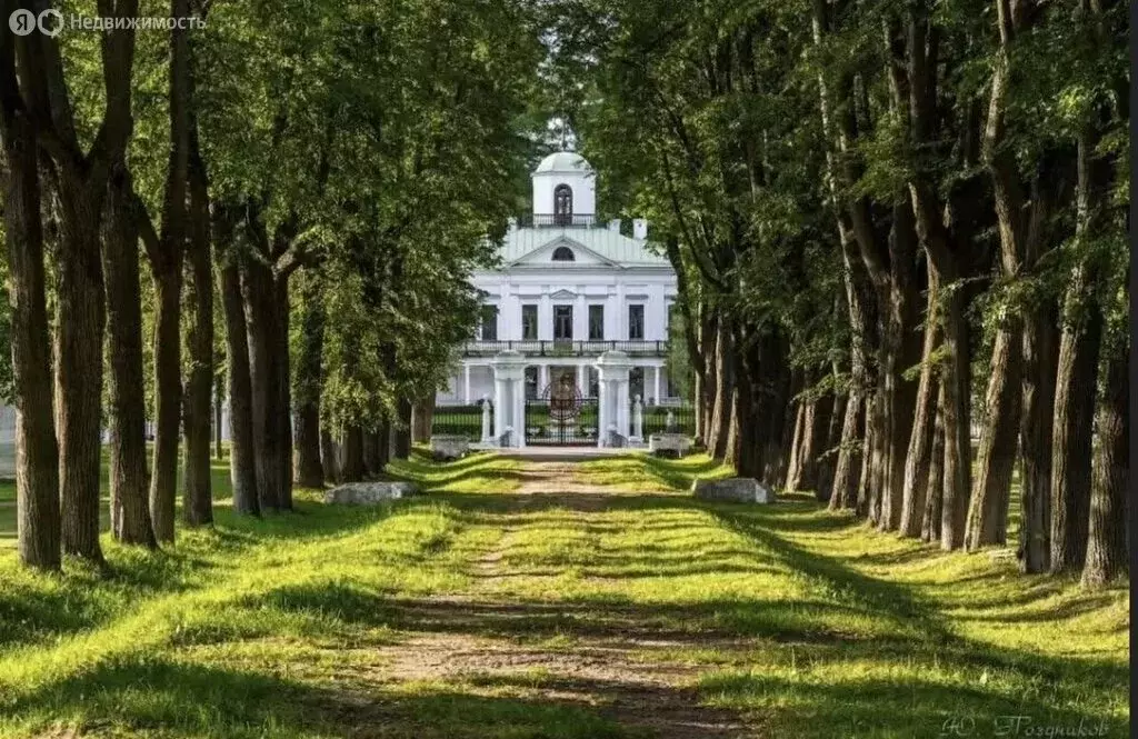 Участок в Светловский городской округ, посёлок Черепаново (381.8 м) - Фото 0