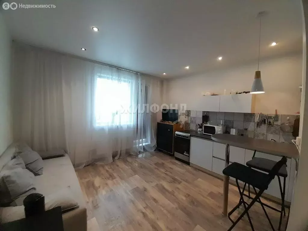 Квартира-студия: Новосибирск, улица Кирова, 225 (24 м) - Фото 0
