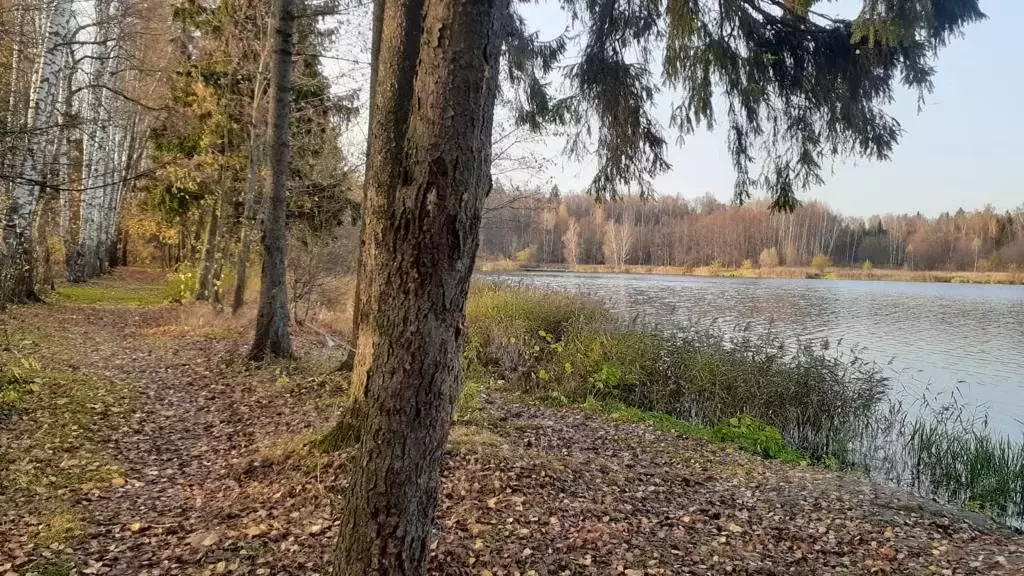 Коттедж в Московская область, Мытищи городской округ, д. Аксаково ул. ... - Фото 2