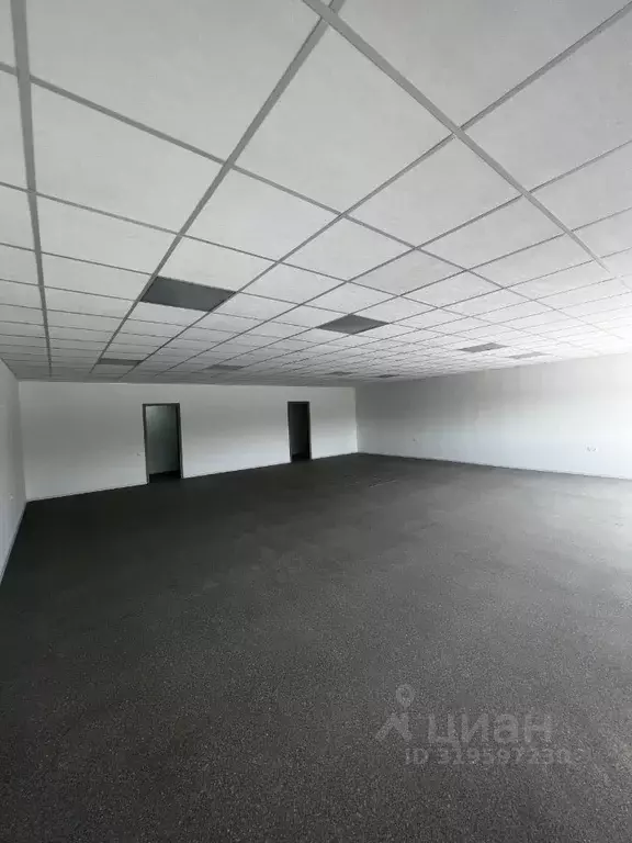 Помещение свободного назначения в Краснодарский край, Краснодар ... - Фото 0