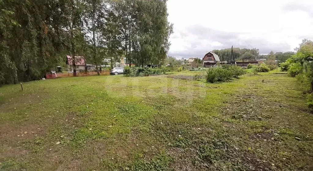 Участок в Новосибирская область, Бердск Луговое СНТ, 131 (17.0 сот.) - Фото 1
