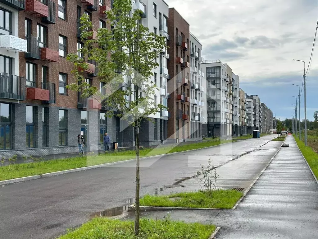 Торговая площадь в Московская область, Одинцовский городской округ, с. ... - Фото 1