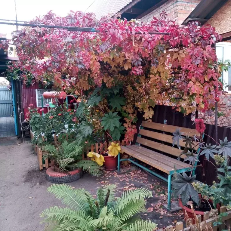 Дом в Омская область, Омск Порт-Артур мкр, ул. Литовская, 9 (59 м) - Фото 0