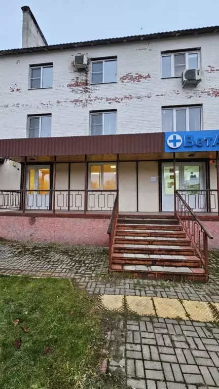 Помещение свободного назначения в Московская область, Егорьевск ул. ... - Фото 1