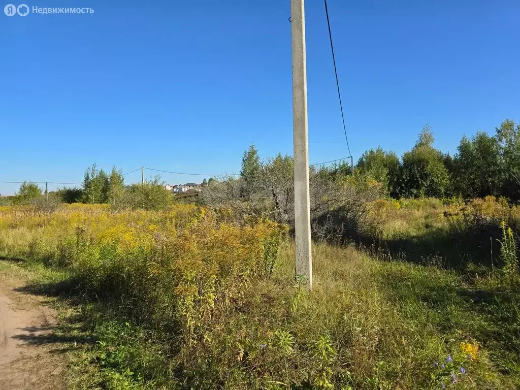 Участок в Добрунь, садоводческое некоммерческое товарищество Пищевик ... - Фото 1