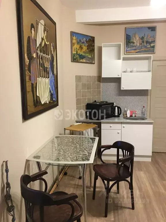 Студия Санкт-Петербург Каменноостровский просп., 16 (19.0 м) - Фото 2