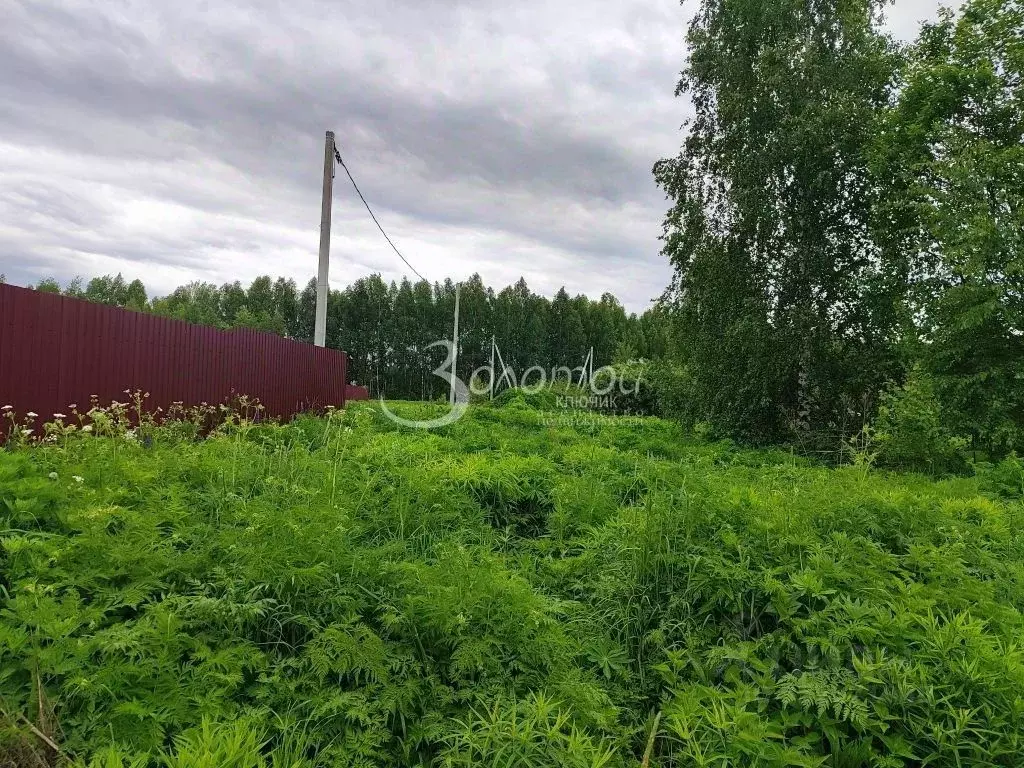 Участок в Нижегородская область, Городецкий муниципальный округ, с. ... - Фото 1
