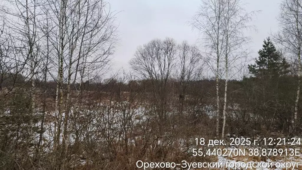 Участок в Московская область, Орехово-Зуевский городской округ, д. ... - Фото 2