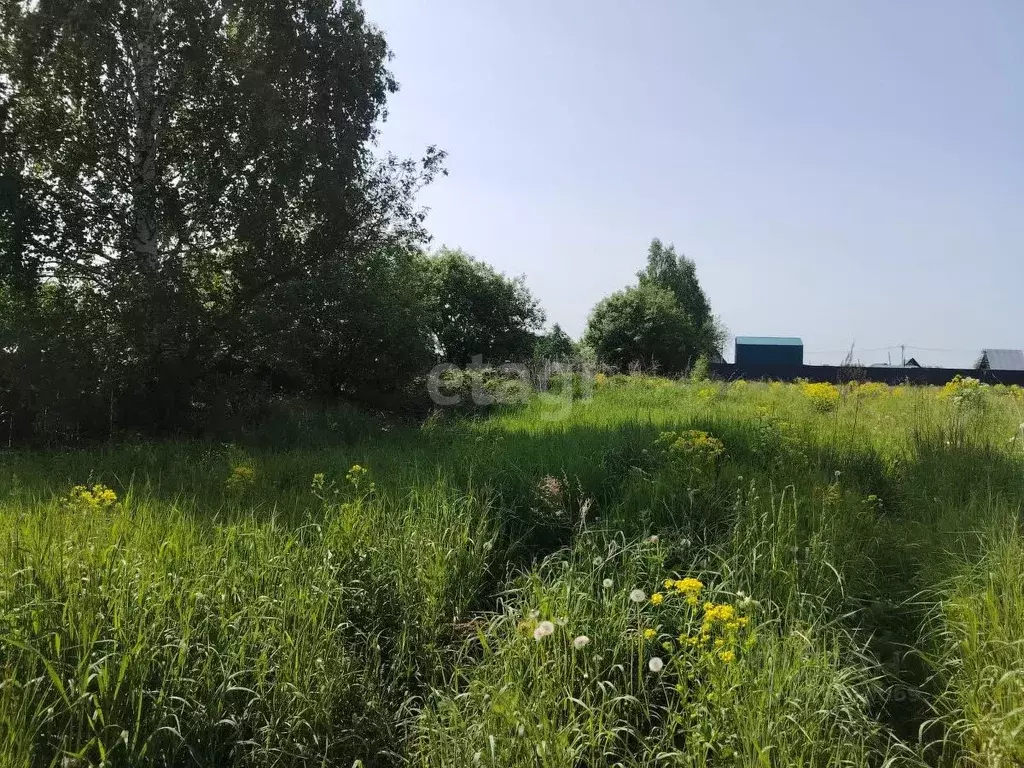 Участок в Томская область, Томский район, д. Кандинка ул. Сибирская ... - Фото 1