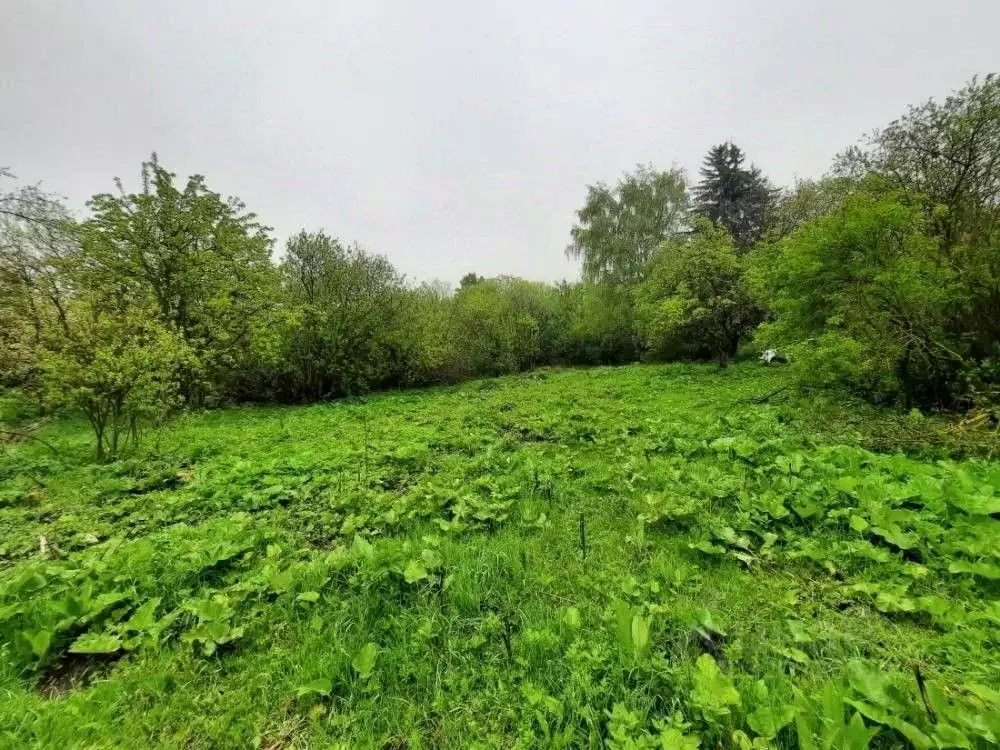 Участок в Ставропольский край, Кисловодск городской округ, пос. ... - Фото 1