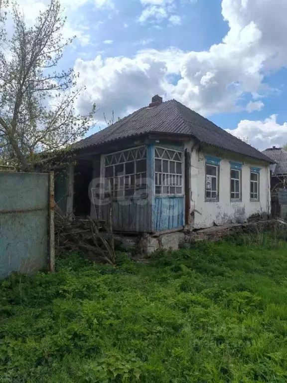 Участок в Белгородская область, Вейделевский район, с. Клименки ул. ... - Фото 1