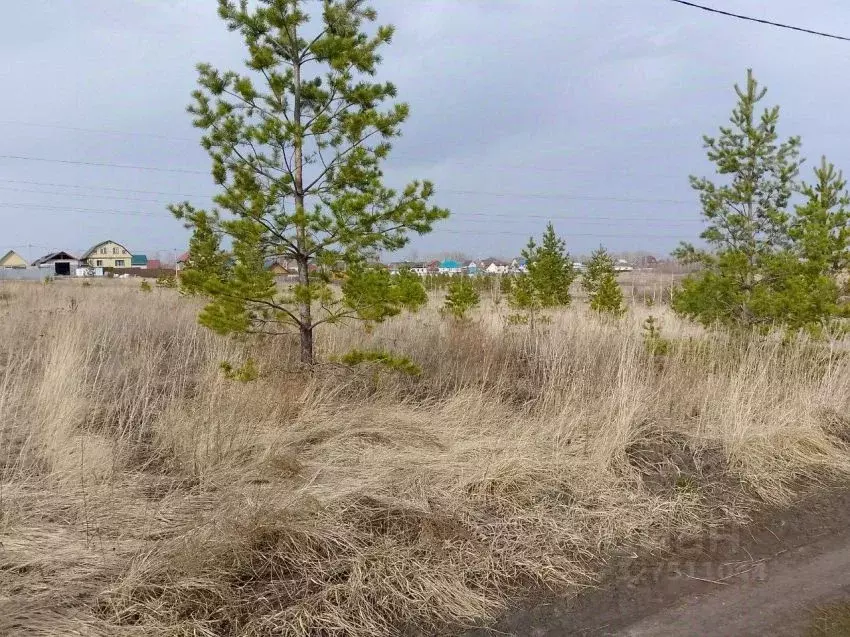 Участок в Курганская область, Кетовский муниципальный округ, ... - Фото 1