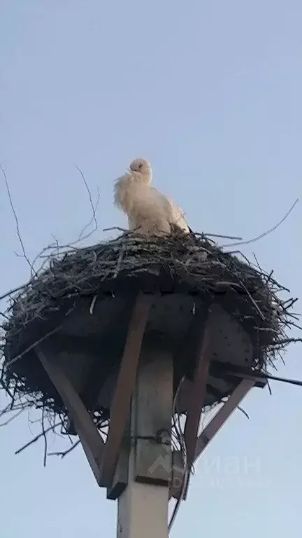 Участок, 15 сот., 0 - Фото 2