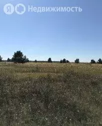 Участок в Арзамас, микрорайон Ивановский, Береговая улица (1000 м) - Фото 2