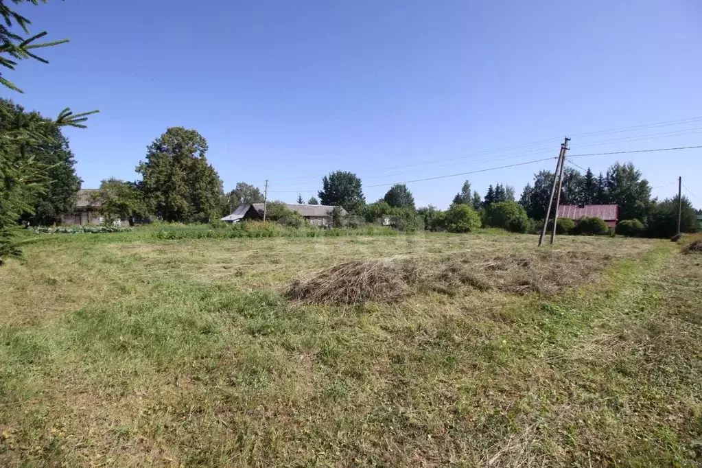 Участок в Вологодская область, Шекснинский муниципальный округ, д. ... - Фото 2