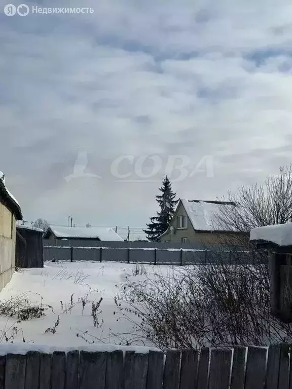 Участок в Тюменский муниципальный округ, село Каменка (7.3 м) - Фото 2