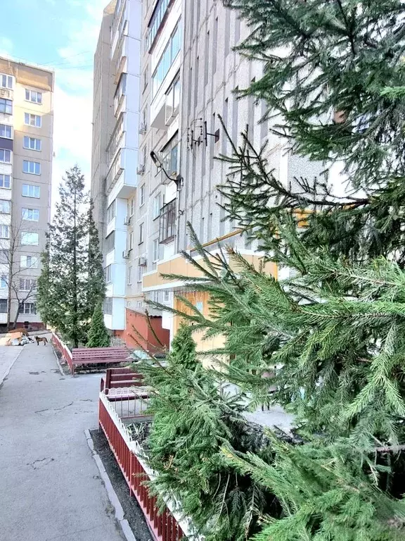 1-к кв. Липецкая область, Липецк ул. Барашева, 5 (36.0 м) - Фото 2