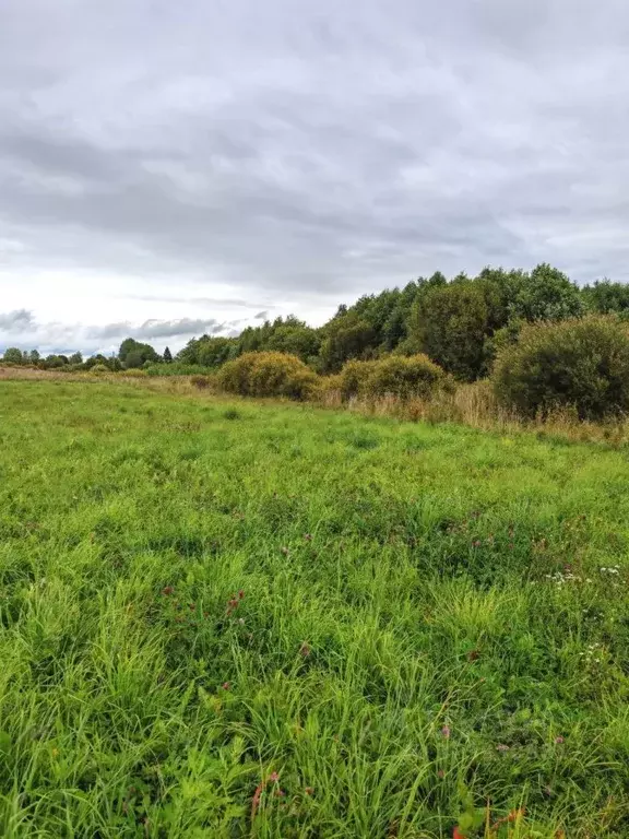 Участок в Карелия, Олонецкий район, с. Видлица  (15.0 сот.) - Фото 2