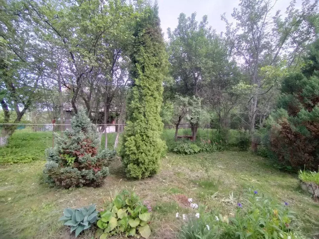 Дом 50 м на участке 10 сот. - Фото 0