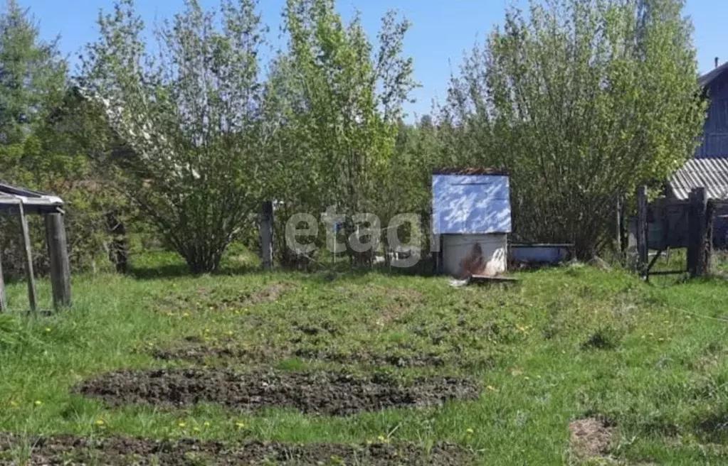 Участок в Ленинградская область, Лодейнопольский район, Янегское ... - Фото 1