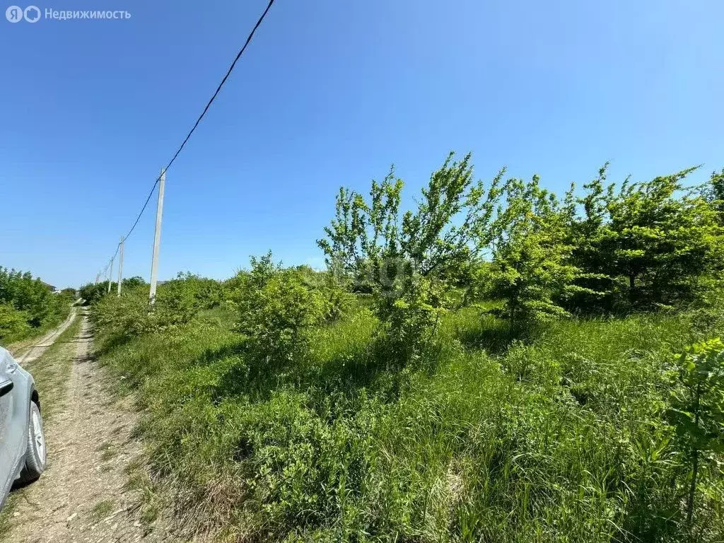 Участок в Краснодарский край, городской округ Новороссийск, посёлок ... - Фото 1