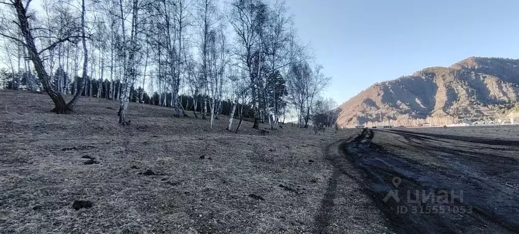 Участок в Алтай, Чемальский район, с. Анос  (2.7 сот.) - Фото 1